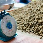 Close-up of a vintage Kusama weight scale beside a large pile of peanuts in natural light.