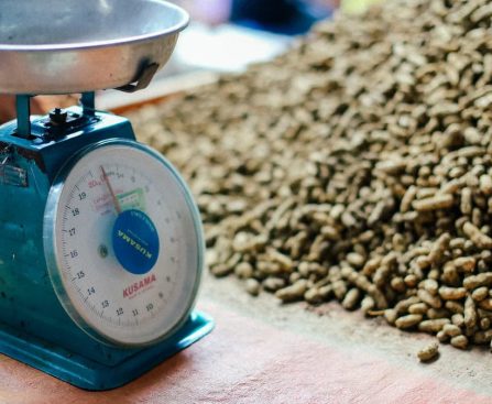 Close-up of a vintage Kusama weight scale beside a large pile of peanuts in natural light.